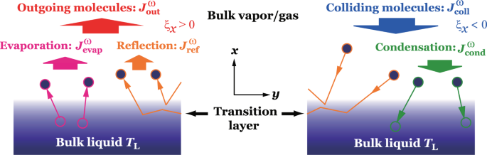 Evaporation coefficient and condensation coefficient of vapor under high  gas pressure conditions | Scientific Reports