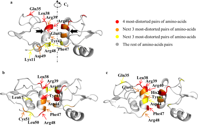 protein oligomers hydrophobic amino acids protein oligomers hydrophobic amino acids