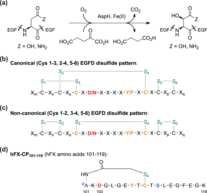 Aspartate Asparagine B Hydroxylase A High Throughput Mass Spectrometric Assay For Discovery Of Small Molecule Inhibitors Scientific Reports