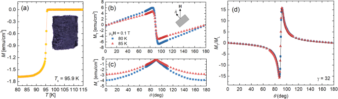 Vortex Phases And Glassy Dynamics In The Highly Anisotropic Superconductor Hgba 2 Cuo 4 D Scientific Reports