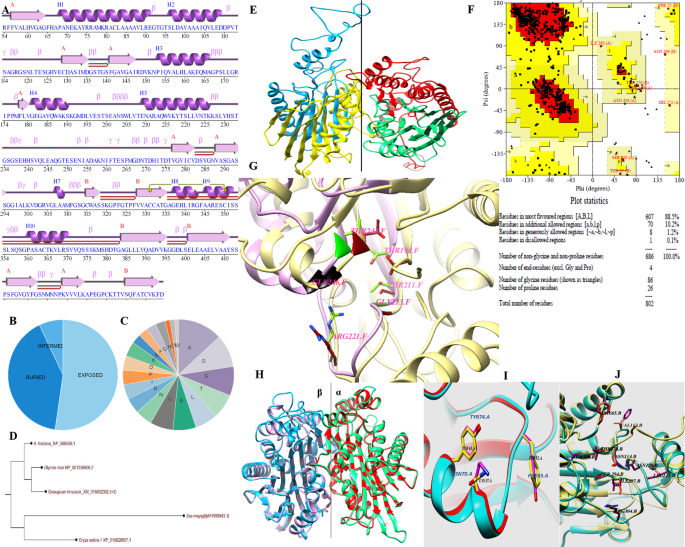 Constitutive Expression Of Asparaginase In Gossypium Hirsutum Triggers Insecticidal Activity Against Bemisia Tabaci Scientific Reports Constitutive Expression Of Asparaginase In Gossypium Hirsutum Triggers Insecticidal Activity Against Bemisia Tabaci Scientific Reports