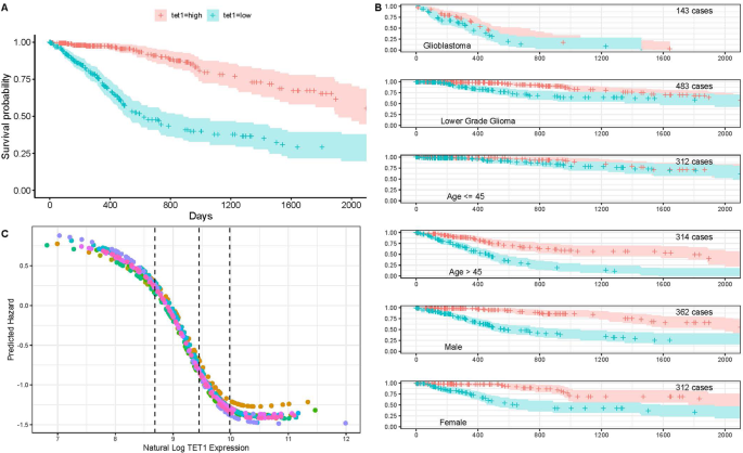 Measuring cancer hallmark mediation of the tet1 glioma survival effect with linked neural-network based mediation experiments