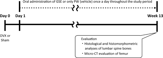 Proanthocyanidin Rich Grape Seed Extract Improves Bone Loss Bone Healing And Implant Osseointegration In Ovariectomized Animals Scientific Reports