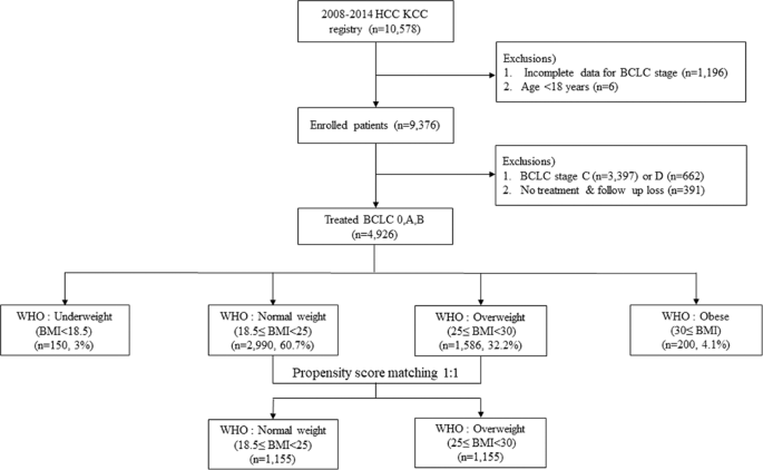 Survival Outcomes According to Body Mass Index in Hepatocellular Carcinoma Patient: Analysis of Nationwide Cancer Registry Database | Scientific Reports Survival Outcomes According to Body Mass Index in Hepatocellular Carcinoma Patient: Analysis of Nationwide Cancer Registry Database | Scientific Reports