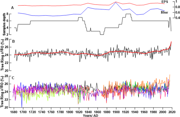 Tree ring responses to climate variability of xerophytic thickets from  South Soalara, Madagascar