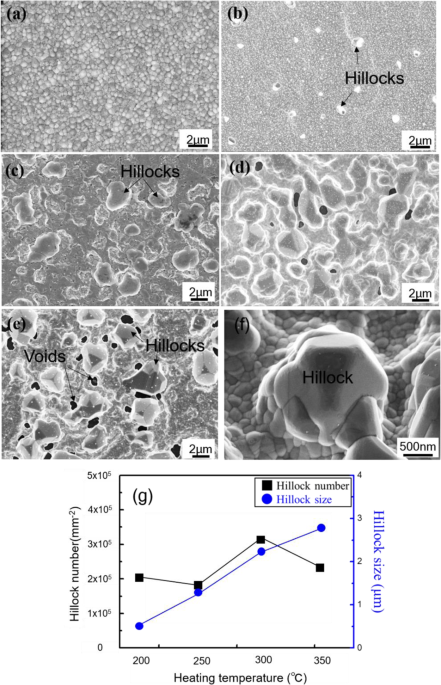 The formation of hillock with lateral grain growth: (a) vertical