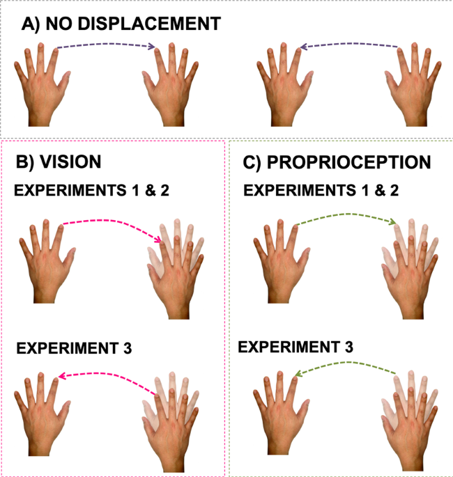 Virtual Image Of A Hand Displaced In Space Influences Action Performance Of The Real Hand Scientific Reports