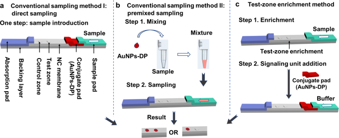 Improvement in Detection Limit for Lateral Flow Assay of Biomacromolecules  by Test-Zone Pre-enrichment | Scientific Reports