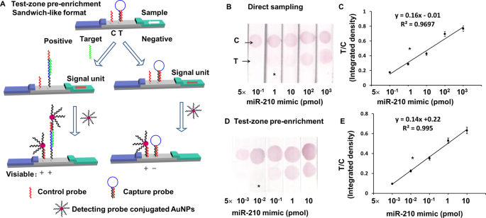 Improvement in Detection Limit for Lateral Flow Assay of Biomacromolecules  by Test-Zone Pre-enrichment | Scientific Reports