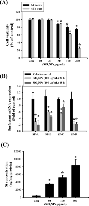 Ultrafine silicon dioxide nanoparticles cause lung epithelial cells  apoptosis via oxidative stress-activated PI3K/Akt-mediated mitochondria-  and endoplasmic reticulum stress-dependent signaling pathways | Scientific  Reports