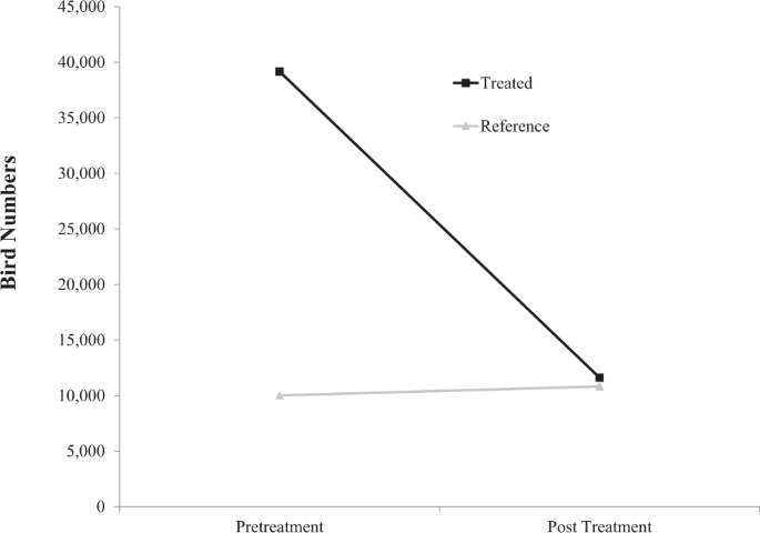 Bird-livestock interactions associated with increased cattle fecal shedding of ciprofloxacin-resistant Escherichia coli within feedlots in the United 