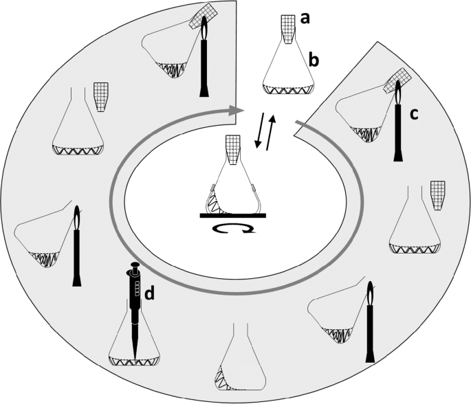 Analysis of the influence of flame sterilization included in sampling  operations on shake-flask cultures of microorganisms | Scientific Reports