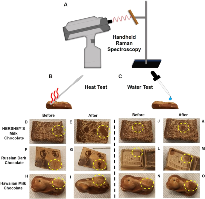 Point-of-care detection, characterization, and removal of chocolate bloom  using a handheld Raman spectrometer | Scientific Reports