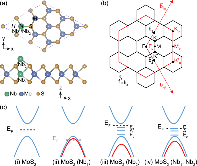 Coexistence Of Valley Polarization And Chern Insulating States In Mos 2 Monolayers With N P Codoping Scientific Reports