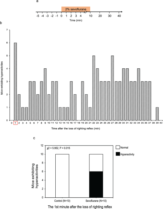 Sevoflurane Induces Neuronal Activation And Behavioral Hyperactivity In Young Mice Scientific Reports Sevoflurane Induces Neuronal Activation And Behavioral Hyperactivity In Young Mice Scientific Reports