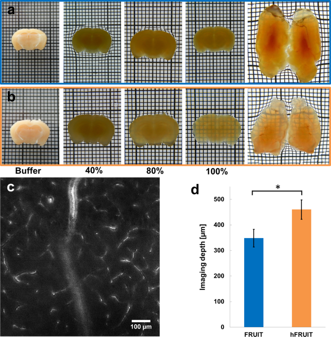 hFRUIT: An optimized agent for optical clearing of DiI ...