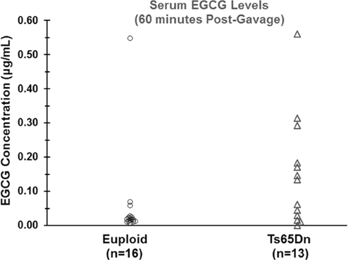 Evaluation Of The Therapeutic Potential Of Epigallocatechin 3 Gallate Egcg Via Oral Gavage In Young Adult Down Syndrome Mice Scientific Reports Evaluation Of The Therapeutic Potential Of Epigallocatechin 3 Gallate Egcg Via Oral Gavage In Young Adult Down Syndrome Mice Scientific Reports