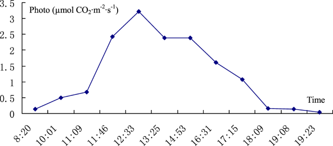 Photosynthetic And Chlorophyll Fluorescence Characteristics Of Isodon Rubescens Hemsley H Hara Scientific Reports