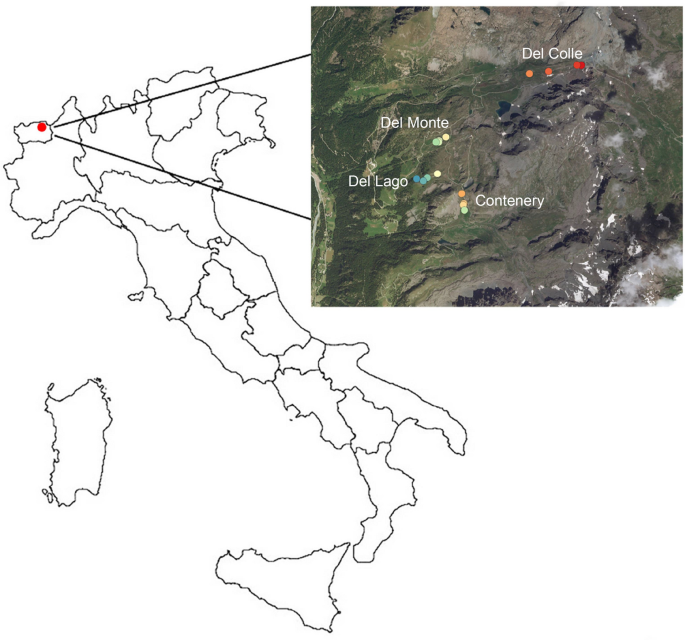 predator 19.3 turf shoes