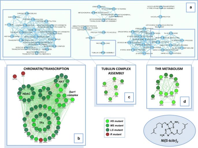 facebook friends mapper chrome removed facebook friends mapper chrome removed
