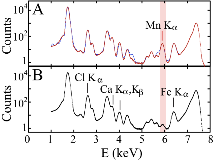 Nanoscale Trace Metal Imprinting Of Biocalcification Of Planktic Foraminifers By Toba S Super Eruption Scientific Reports