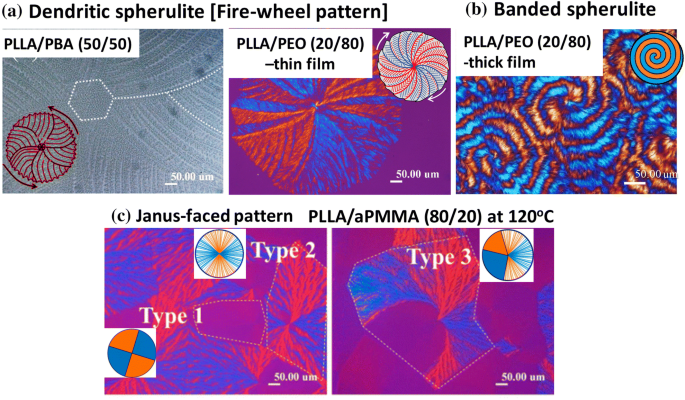 Explosive Fibonacci Sequence Growth Into Unusual Sector Face Morphology In Poly L Lactic Acid Crystallized With Polymeric Diluents Scientific Reports Explosive Fibonacci Sequence Growth Into Unusual Sector Face Morphology In Poly L Lactic Acid Crystallized With Polymeric Diluents Scientific Reports