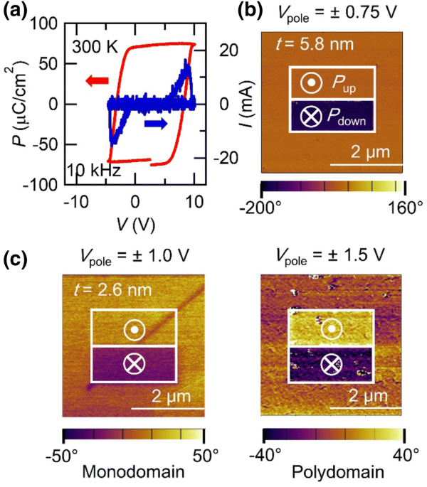 Evolution of ferroelectricity in ultrathin pbtio3 films as revealed by electric double layer gating