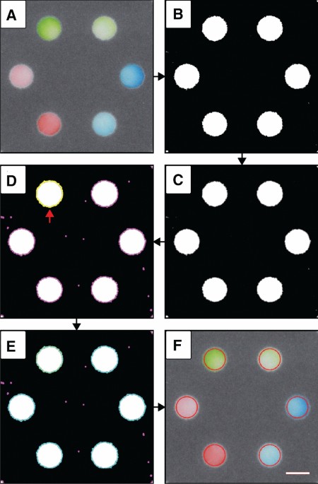 https://media.springernature.com/m685/springer-static/image/art%3A10.1038%2Fs41598-020-67639-6/MediaObjects/41598_2020_67639_Fig1_HTML.jpg