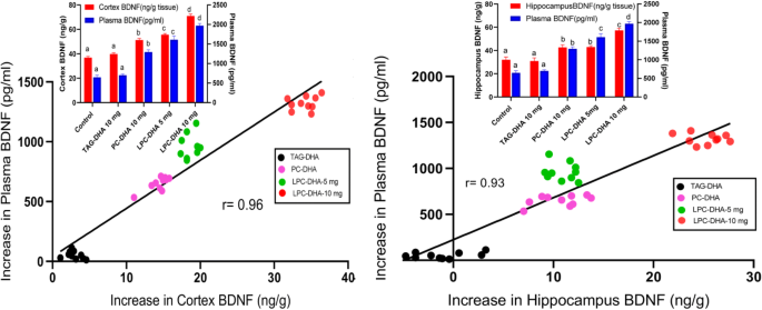 Plasma BDNF is a more reliable biomarker than erythrocyte omega-3 index for the omega-3 fatty acid enrichment of brain