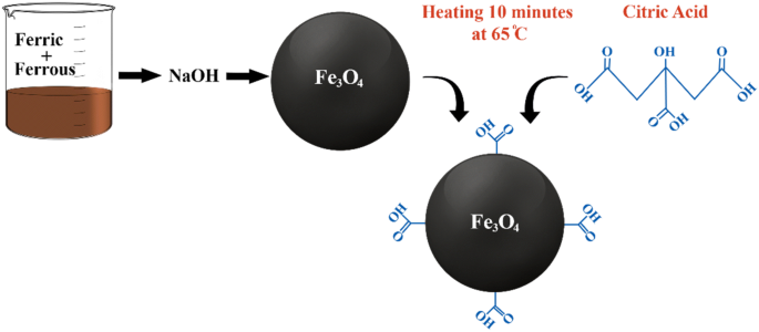 Rapid Redox Cycling of Fe(II)/Fe(III) in Microdroplets during Iron–Citric  Acid Photochemistry