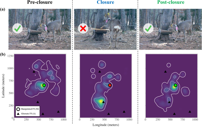 Preference and familiarity mediate spatial responses of a large herbivore to experimental manipulation of resource availability