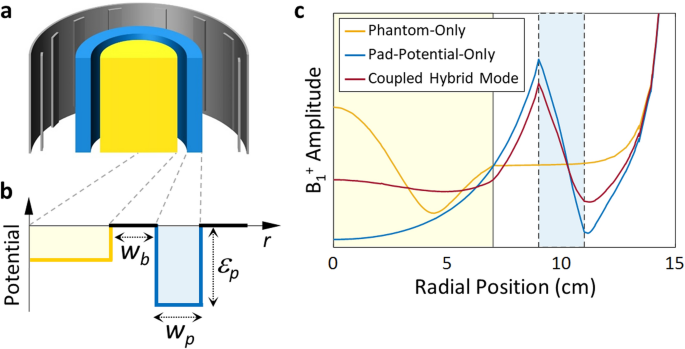 Mitigation Of B 1 Inhomogeneity For Ultra High Field Magnetic Resonance Imaging Hybrid Mode Shaping With Auxiliary Em Potential Scientific Reports Mitigation Of B 1 Inhomogeneity For Ultra High Field Magnetic Resonance Imaging Hybrid Mode Shaping With Auxiliary Em Potential Scientific Reports