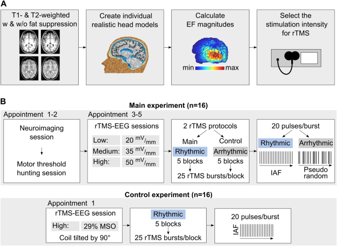 Weak Rtms Induced Electric Fields Produce Neural Entrainment In Humans Scientific Reports