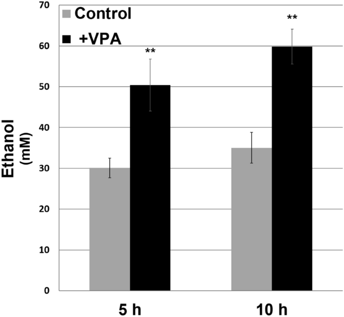 Valproate inhibits mitochondrial bioenergetics and increases glycolysis in  Saccharomyces cerevisiae