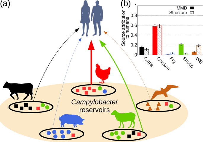  Mining whole genome sequence data to efficiently attribute individuals to source populations 