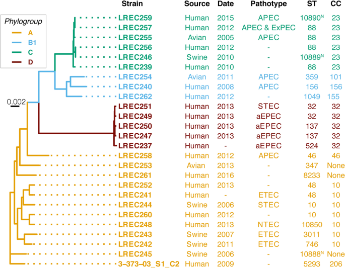 The defense island repertoire of the Escherichia coli pan-genome