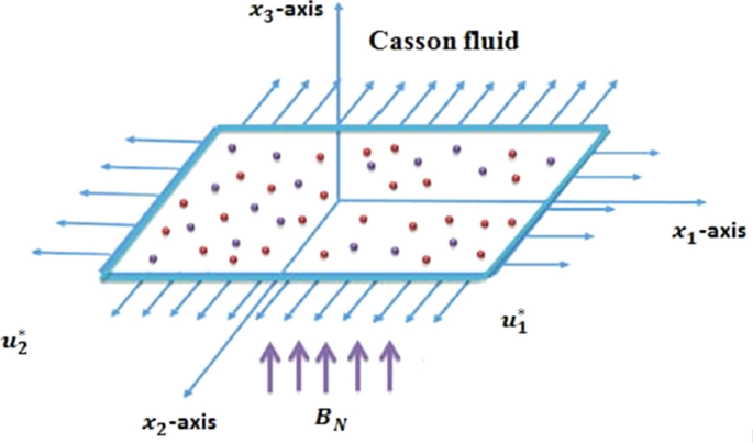 Entropy Generation In Mhd Casson Fluid Flow With Variable Heat Conductance And Thermal Conductivity Over Non Linear Bi Directional Stretching Surface Scientific Reports Entropy Generation In Mhd Casson Fluid Flow With Variable Heat Conductance And Thermal Conductivity Over Non Linear Bi Directional Stretching Surface Scientific Reports