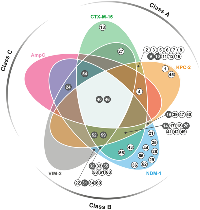 Virtual Screening Identifies Broad Spectrum B Lactamase Inhibitors With Activity On Clinically Relevant Serine And Metallo Carbapenemases Scientific Reports