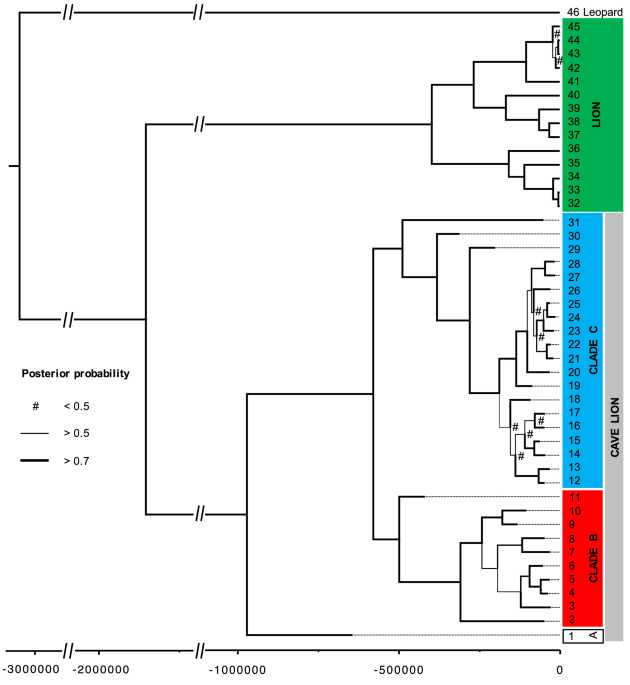 Early Pleistocene origin and extensive intra-species diversity of the extinct cave lion