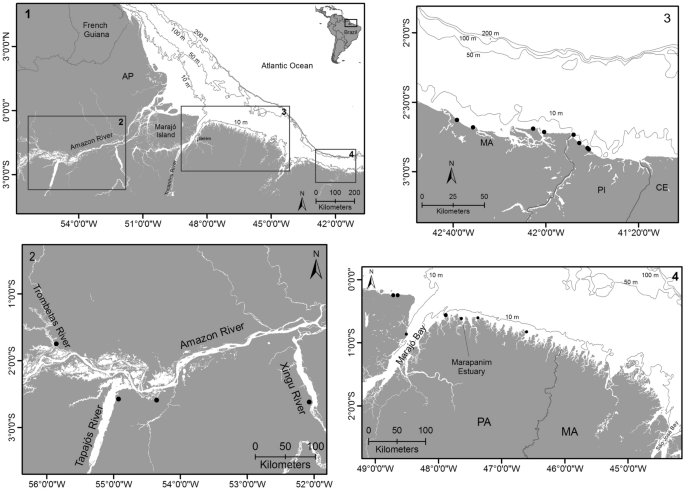 Resource partitioning among stranded aquatic mammals from Amazon and  Northeastern coast of Brazil revealed through Carbon and Nitrogen Stable  Isotopes | Scientific Reports