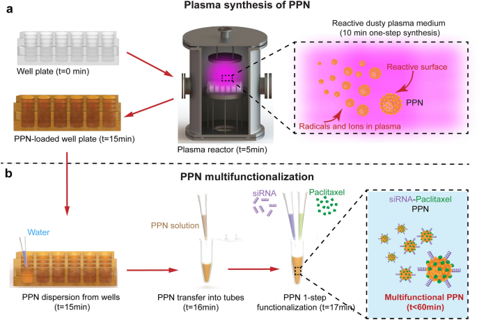 Plasma Polymerized Nanoparticles Effectively Deliver Dual Sirna And Drug Therapy In Vivo Scientific Reports
