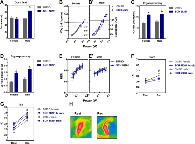 Neuronal Adenosine A 2a Receptors Signal Ergogenic Effects Of Caffeine Scientific Reports