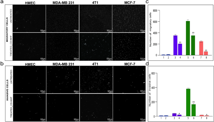 Nhf Derived Carbon Dots Prevalidation Approach In Breast Cancer Treatment Scientific Reports