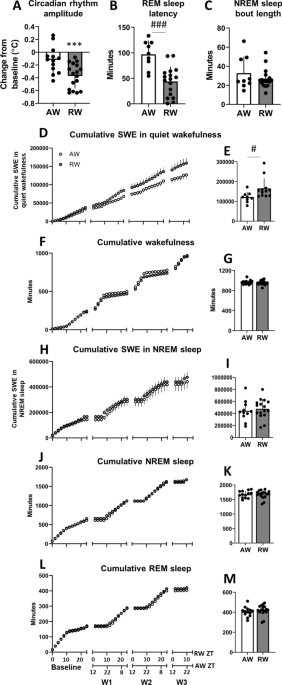 Cognitive Function And Brain Plasticity In A Rat Model Of Shift Work Role Of Daily Rhythms Sleep And Glucocorticoids Scientific Reports