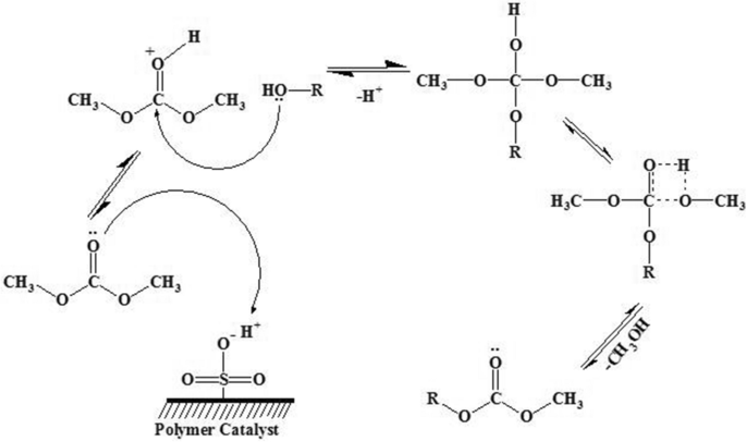 Separation and Catalysis of Carboxylates: Byproduct Reduction during the  Alkylation with Dimethyl Carbonate