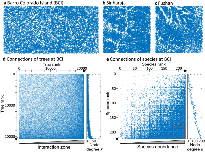Network science applied to forest megaplots: tropical tree species coexist in small-world networks