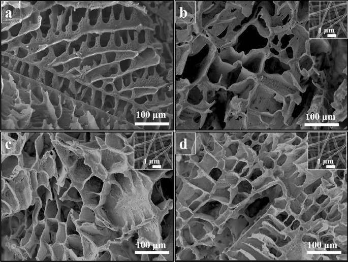 A Tailored Polylactic Acid Polycaprolactone Biodegradable And Bioactive 3d Porous Scaffold Containing Gelatin Nanofibers And Taurine For Bone Regeneration Scientific Reports