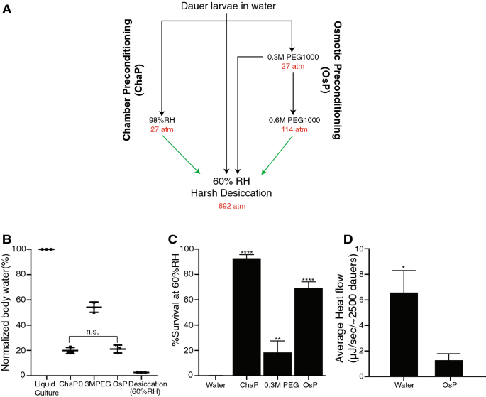 C Elegans Possess A General Program To Enter Cryptobiosis That Allows Dauer Larvae To Survive Different Kinds Of Abiotic Stress Scientific Reports