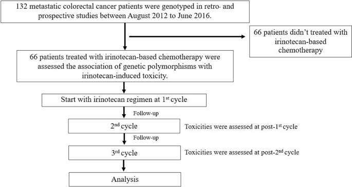 Effect of drug metabolizing enzymes and transporters in Thai colorectal  cancer patients treated with irinotecan-based chemotherapy | Scientific  Reports