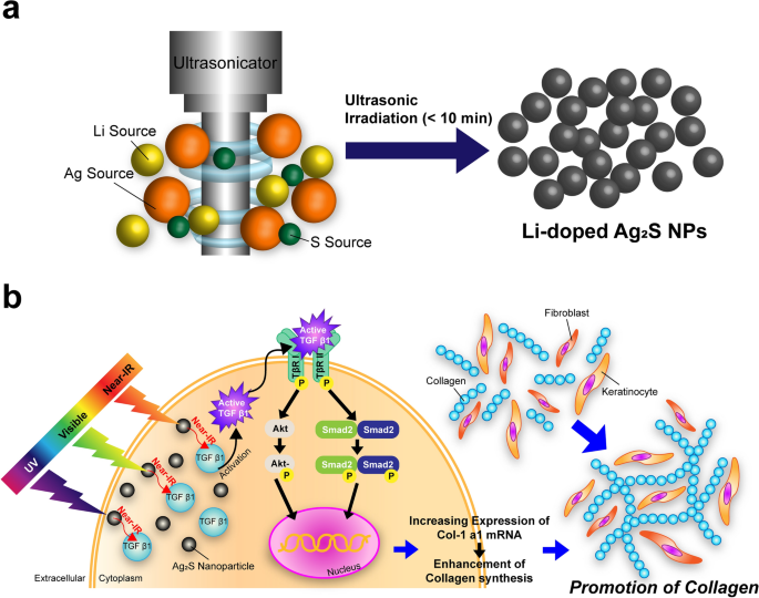 Near-infrared-emitting nanoparticles activate collagen synthesis via TGFβ  signaling | Scientific Reports